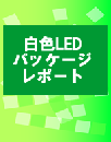 白色LEDパッケージレポート  (レポートのみ)